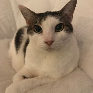 Meet your Posher, Allison